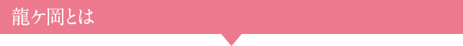 龍ケ岡とは
