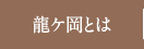 龍ケ岡とは